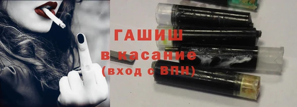 индика Алзамай