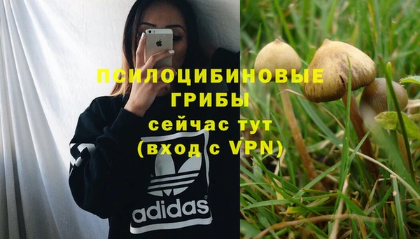 метадон Алексин
