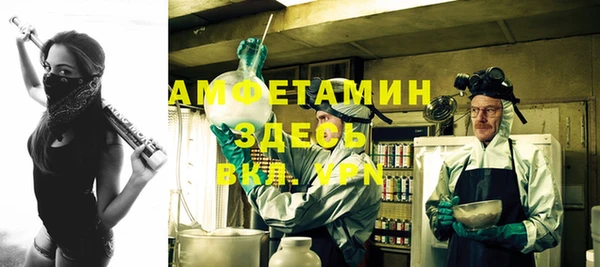 индика Алзамай