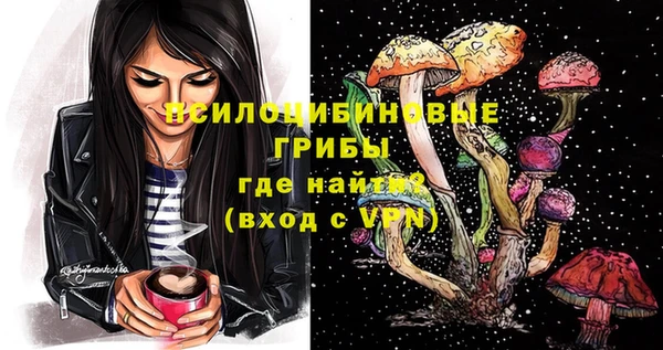 молекула духа Алексеевка