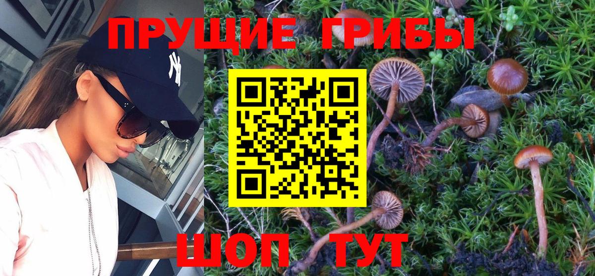 Галлюциногенные грибы Magic Shrooms Кореновск